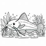 Catfish Coloring Pages For Children  Day Dream Colors sketch template