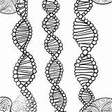 Dna Double Helix Coloring Page 29274 23609 sketch template