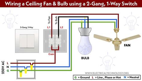 How to Wire Double Switch? 2-Gang, 1-Way Switch - IEC & NEC | Ceiling fan wiring, Home ...