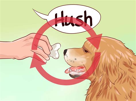 3 Ways to Train a Guard Dog - wikiHow