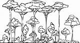 Tropical Rainforest Drawings Sketch Coloring Page sketch template