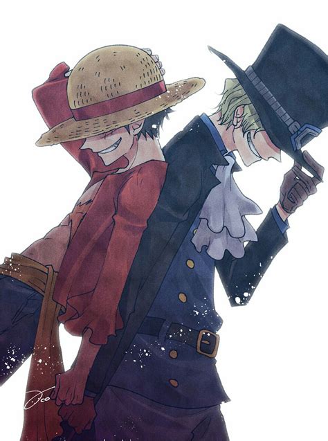 Luffy and Sabo | Manga anime one piece, One piece comic, One piece pictures