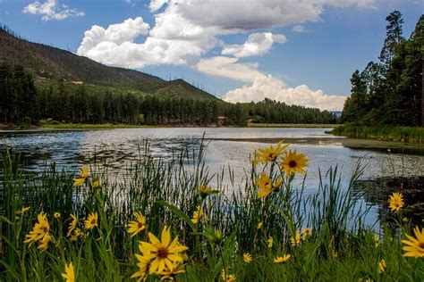 Fenton Lake State Park | State parks, Places to go, Lake