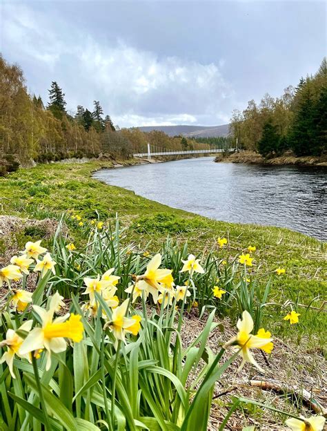 THE 10 BEST Things to Do in Ballater - 2022 (with Photos)