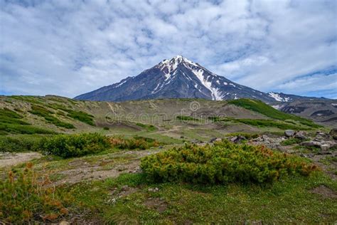 Panoramic View Of The City Petropavlovsk-Kamchatsky And Volcanoes Stock ...