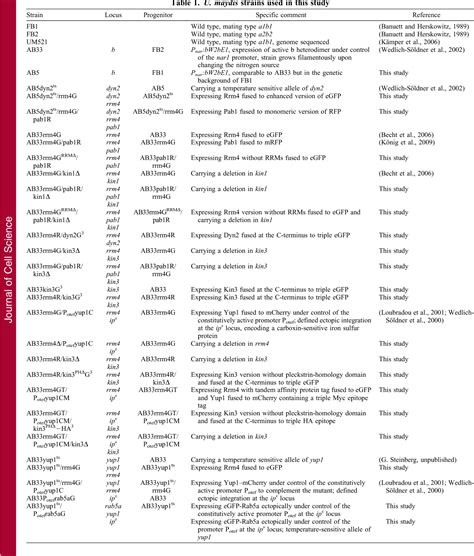 Table 1 from Kinesin-3 and dynein mediate microtubule-dependent co-transport of mRNPs and ...