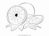Grapefruit At Coloring Page For Kids  Free Printable sketch template