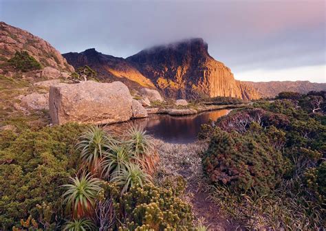 Tasmanian Wilderness Australia | Traveling Tour Guide