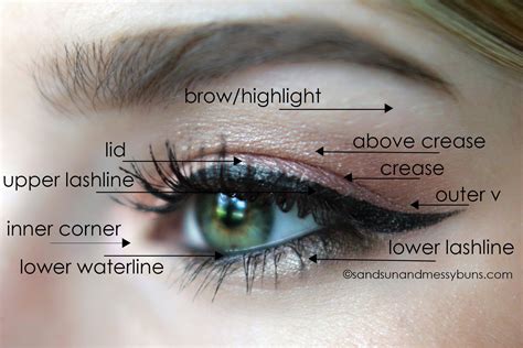 Makeup 101: Eyeshadow Diagram for Makeup Newbies | Sand Sun & Messy ...