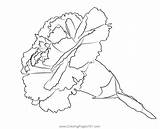 Carnation Coloring Page For Kids  Free Carnations Printable Coloring sketch template