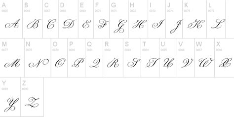 Best Calligraphy Fonts To Spice Up Your Writing - Visual Hierarchy Blog