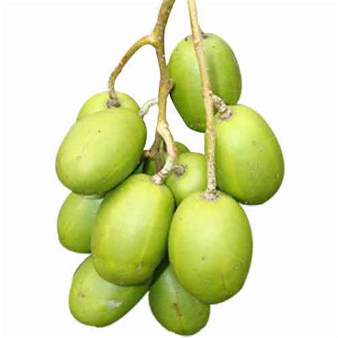 Ambarella fruit | Nutrition facts-Ambarella fruit | Health benefits