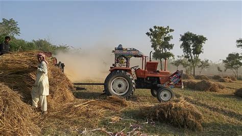 Village Life Of Punjab 2020|Wheat Threshing In Rural Punjab|How Punjabi ...