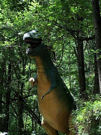 Dinosaur World (Cave City) - 2020 All You Need to Know BEFORE You Go (with Photos) - Tripadvisor