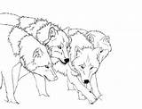 Baby Wolves Coloring Pages  Home sketch template