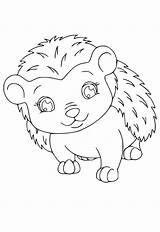 Hedgehog Coloring Pages For Kids At Viibaileeblog Blog sketch template