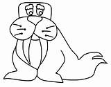 Walrus 1 Coloring Page  Free Printable Pages For Kids sketch template