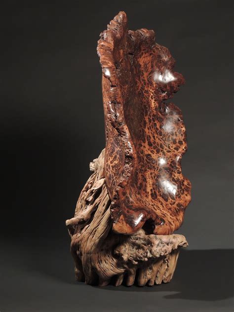 #5 Large Oak burl with Saguaro cactus stand. by john Hoyt | Driftwood sculpture, Wood sculpture ...