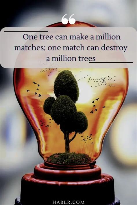 25 Encouraging Quotes On Save Trees To Prevent Global Warming