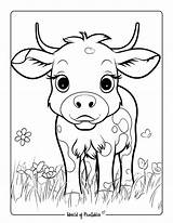 Cow Coloring Pages For Kids & Adults  World Of Printables sketch template