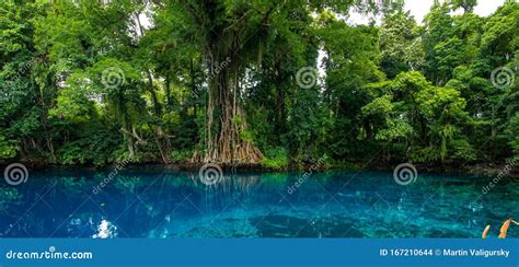 Matevulu Blue Hole, Espiritu Santa Island, Vanuatu, Tourist Destination Stock Photo - Image of ...