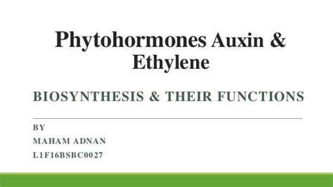 Phytohormones auxin & ethylene synthesis and effects