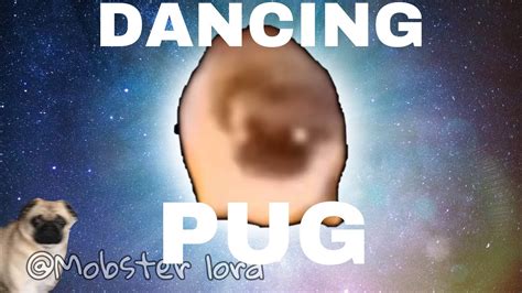 Original Pug dancing meme - YouTube