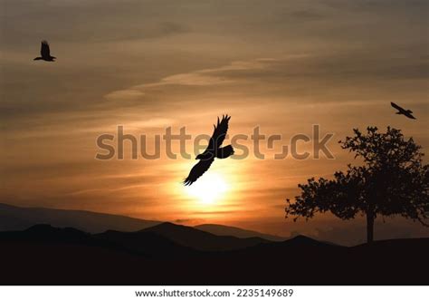 Vector Silhouette Nature On Sunset Background Stock Vector (Royalty ...