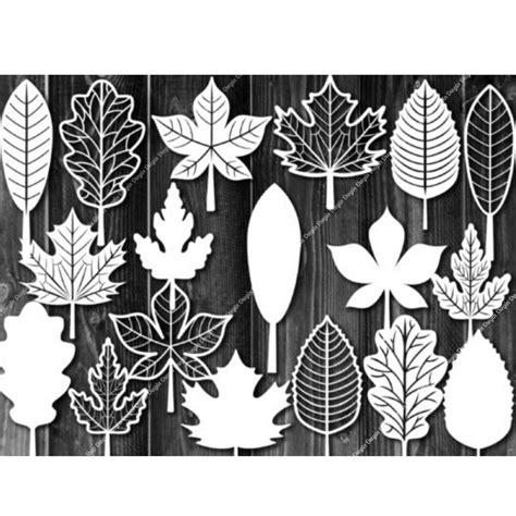 Autumn Leaves Svg Bundle Fall Leaves Svg Leaf Svg Png Clipart - Etsy