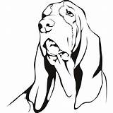 Hound Dog Coloring Pages At GetColoringscom  Free Printable Colorings sketch template