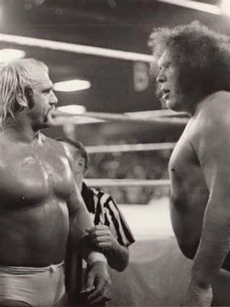 Untold Secrets Behind Hulk Hogan and Andre the Giant's Feud - Pro ...