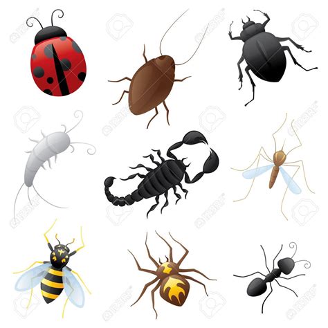 creepy crawlies clipart 20 free Cliparts | Download images on Clipground 2024