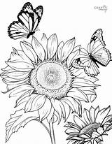 Free Printable Sunflower Coloring Pages sketch template