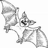Printable Bat Coloring Pages sketch template