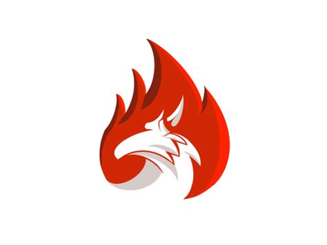 Dragon Fire Logo by Garagephic Studio on Dribbble