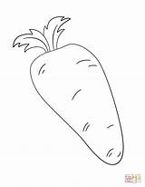Carrot Template Printables Coloring Templates Printable Easter Carrots  sketch template
