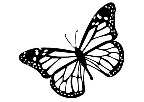 Butterfly black and white monarch butterfly clipart black and white - WikiClipArt