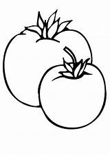 Coloring Pages  Printable Tomato Page sketch template