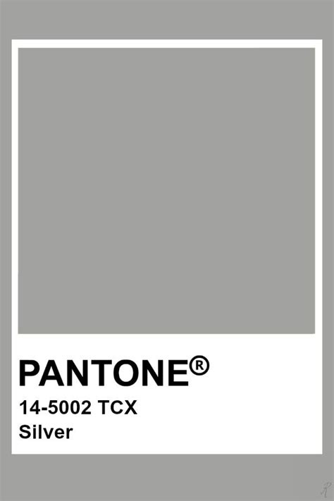 Pantone Silver | Pantone palette, Pantone colour palettes, Pantone color