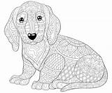 Free Printable Dog Coloring Pages For Kids sketch template