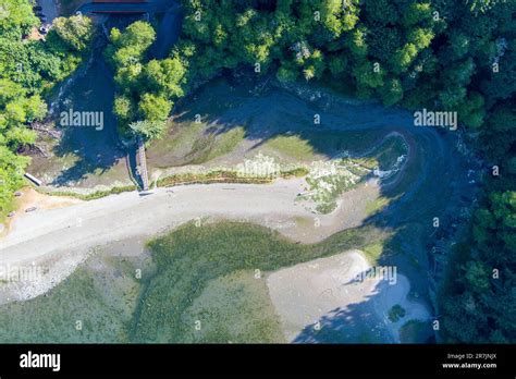 Tolmie State Park in June 2023 Stock Photo - Alamy