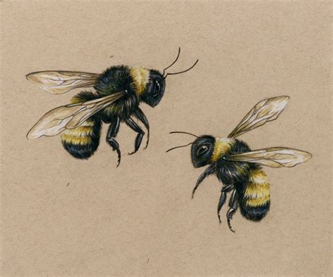 Flying Bee Drawing at PaintingValley.com | Explore collection of Flying ...