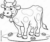 Cow Coloring Pages Coloring Book Design For Kids And Children Stock  sketch template
