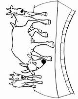 Bring The Story Of Three Billy Goats Gruff To Life With Our Fun And  sketch template