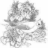 Winter Coloring Pages For Adults  Home sketch template