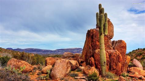 Arizona Desert Wallpapers - Top Free Arizona Desert Backgrounds - WallpaperAccess