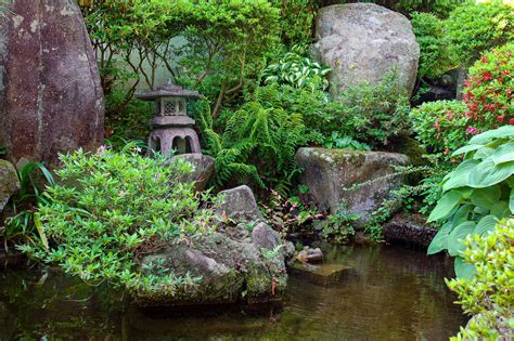 Japanese Garden Pond 9579094 Stock Photo at Vecteezy