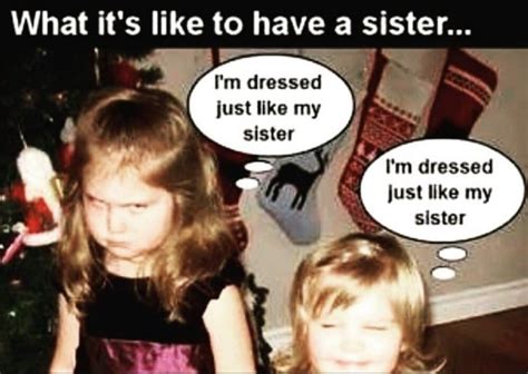 Sibling Memes - 40+ Funny Images To Troll Your Bro & Sis