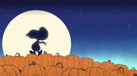 Things Only Adults Notice In It's The Great Pumpkin, Charlie Brown