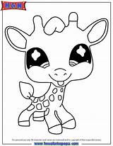 Coloring Pages Littlest Pet Shop  Coloring Home sketch template